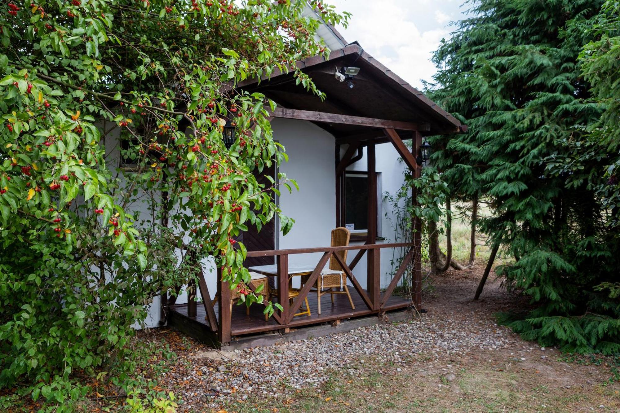 Windmill Vacation Home In Ledzin Near Baltic Sea نيخوجة الغرفة الصورة
