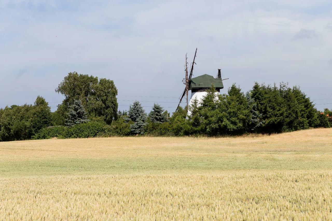 Windmill Vacation Home In Ledzin Near Baltic Sea نيخوجة المظهر الخارجي الصورة