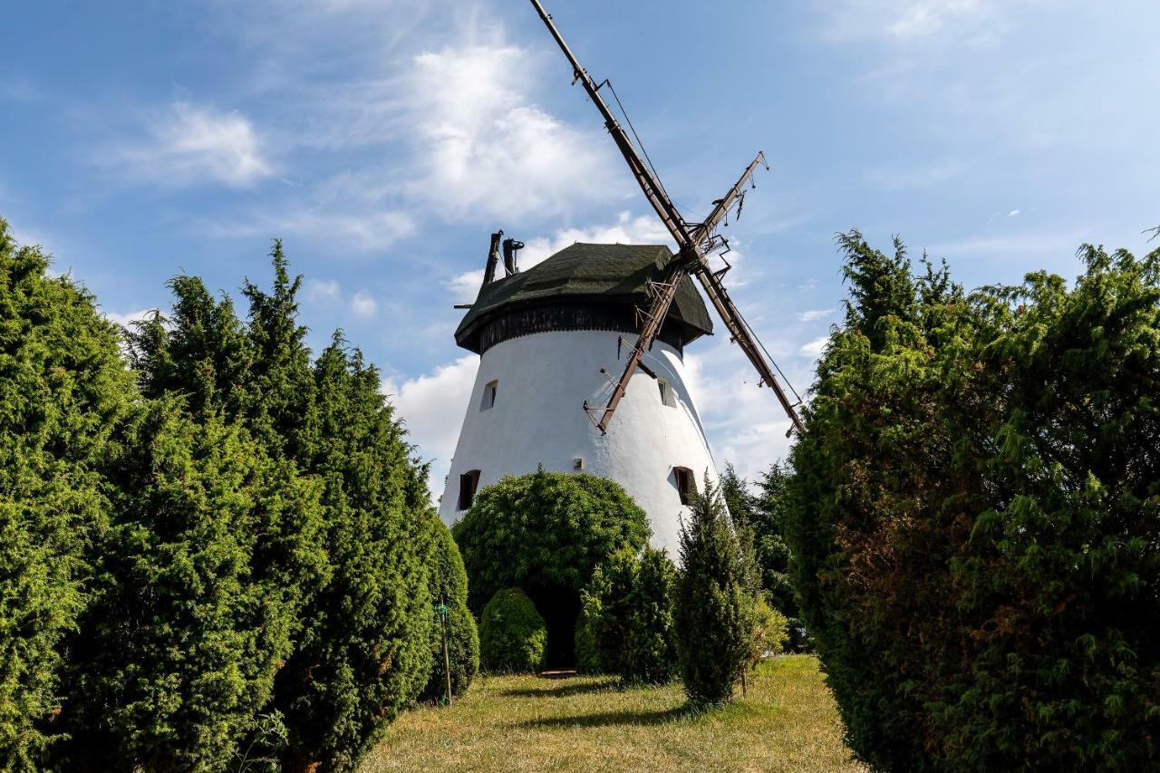 Windmill Vacation Home In Ledzin Near Baltic Sea نيخوجة المظهر الخارجي الصورة