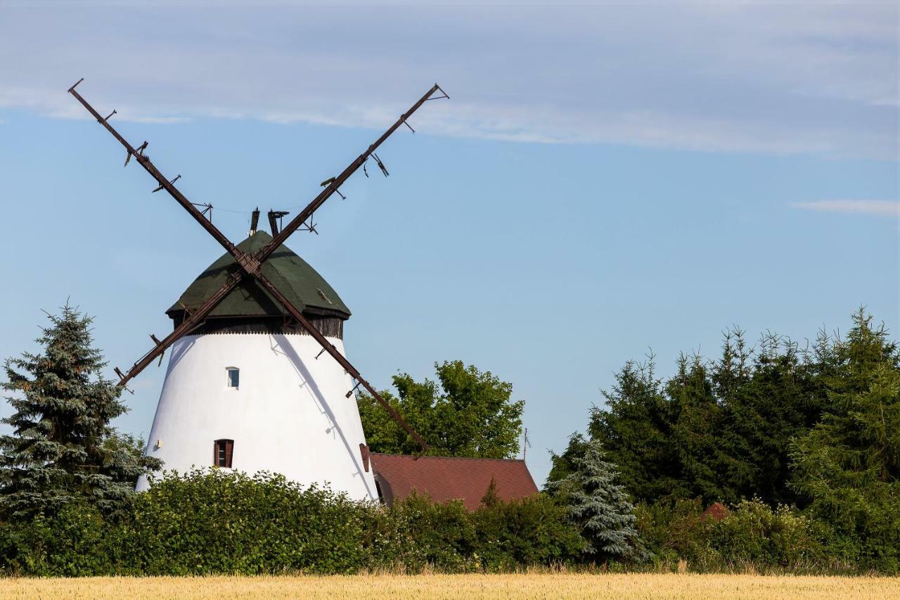 Windmill Vacation Home In Ledzin Near Baltic Sea نيخوجة المظهر الخارجي الصورة