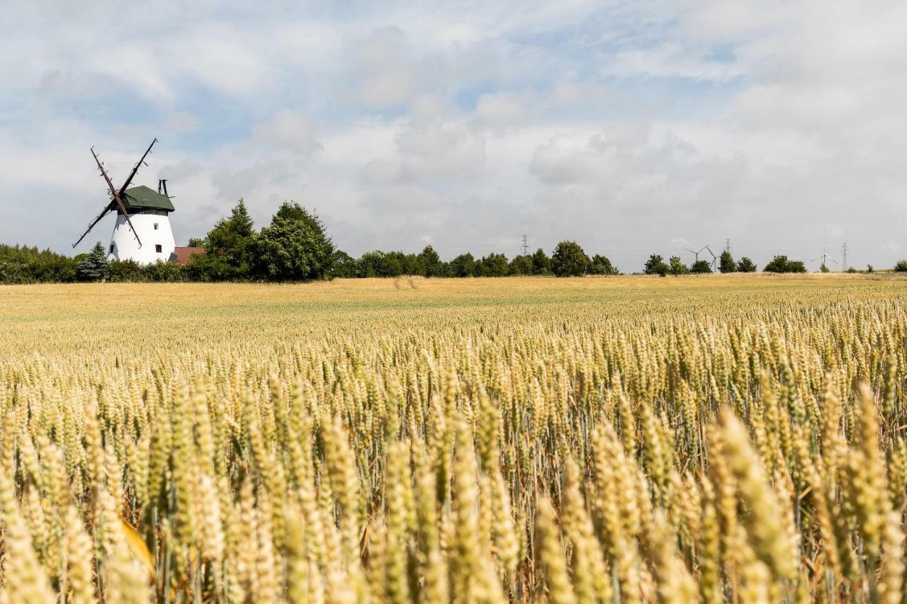 Windmill Vacation Home In Ledzin Near Baltic Sea نيخوجة المظهر الخارجي الصورة