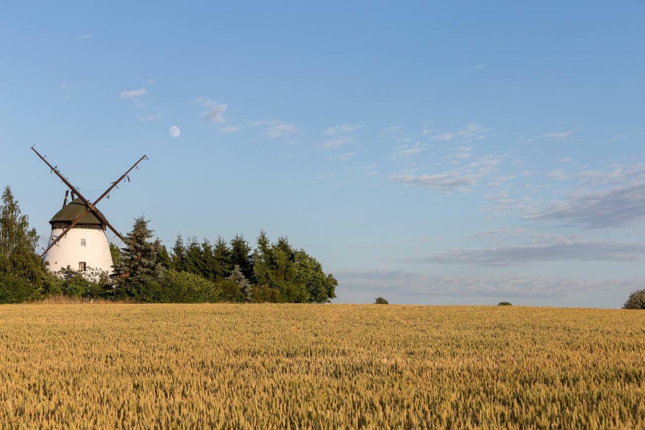 Windmill Vacation Home In Ledzin Near Baltic Sea نيخوجة المظهر الخارجي الصورة
